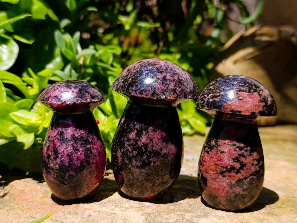 Polished Rhodonite Gemstone Mushrooms x 6 From Ambindavato, Madagascar