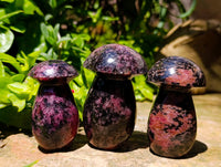 Polished Rhodonite Gemstone Mushrooms x 6 From Ambindavato, Madagascar