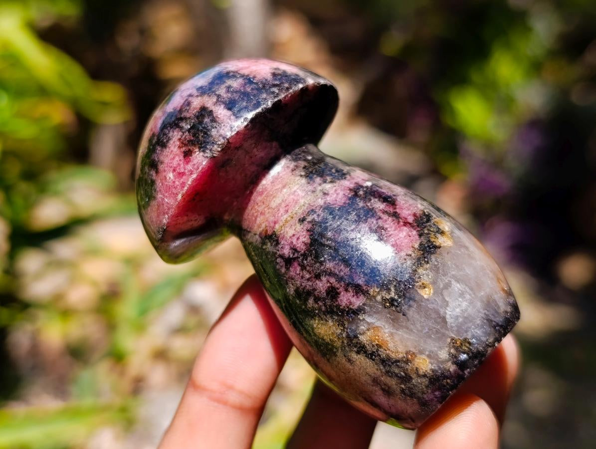 Polished Rhodonite Gemstone Mushrooms x 6 From Ambindavato, Madagascar