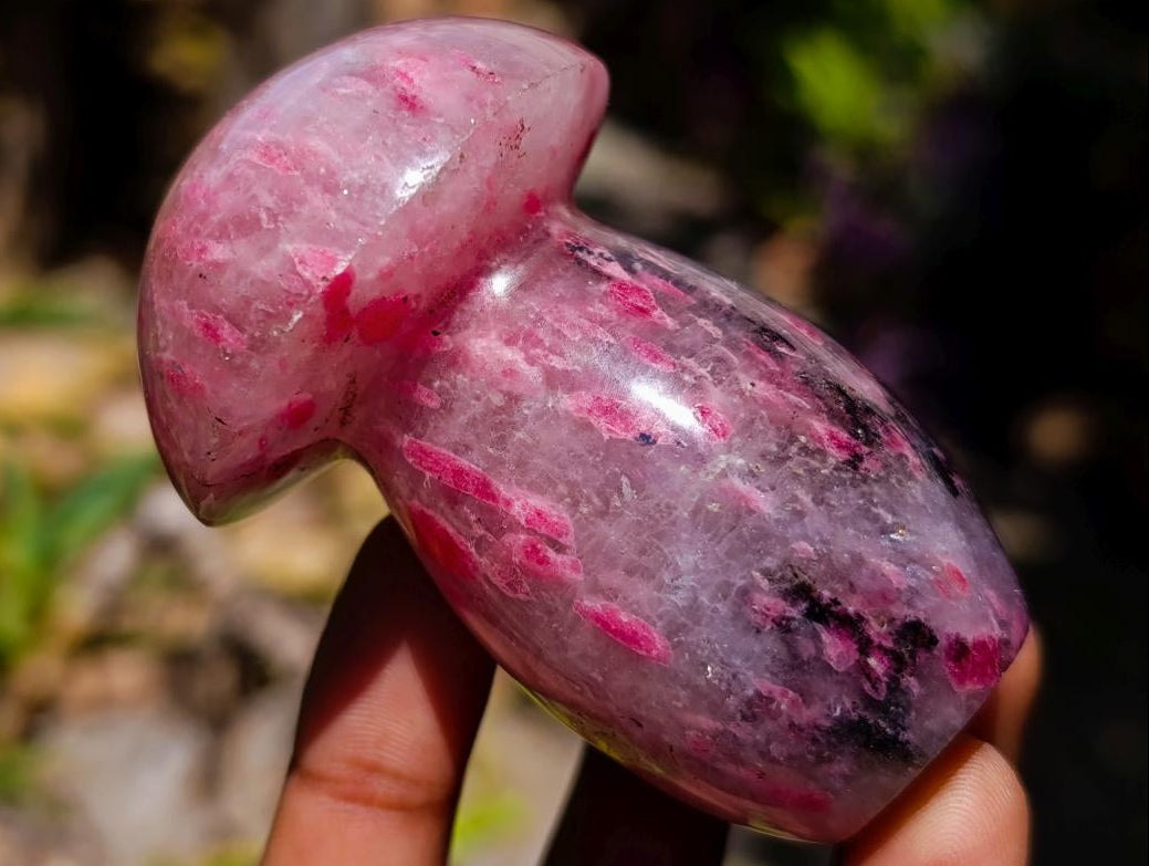 Polished Rhodonite Gemstone Mushrooms x 6 From Ambindavato, Madagascar