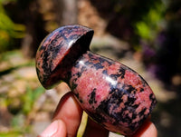 Polished Rhodonite Gemstone Mushrooms x 6 From Ambindavato, Madagascar