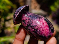 Polished Rhodonite Gemstone Mushrooms x 6 From Ambindavato, Madagascar