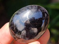 Polished Black Tourmaline Mini Galets x 70 From Madagascar