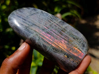 Polished Rare Purple Sunset Labradorite Standing Free Forms x 2 From Madagascar