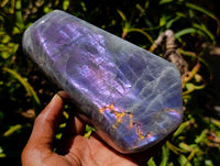 Polished Rare Purple Sunset Labradorite Standing Free Forms x 2 From Madagascar