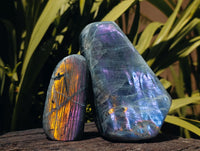 Polished Rare Purple Sunset Labradorite Standing Free Forms x 2 From Madagascar