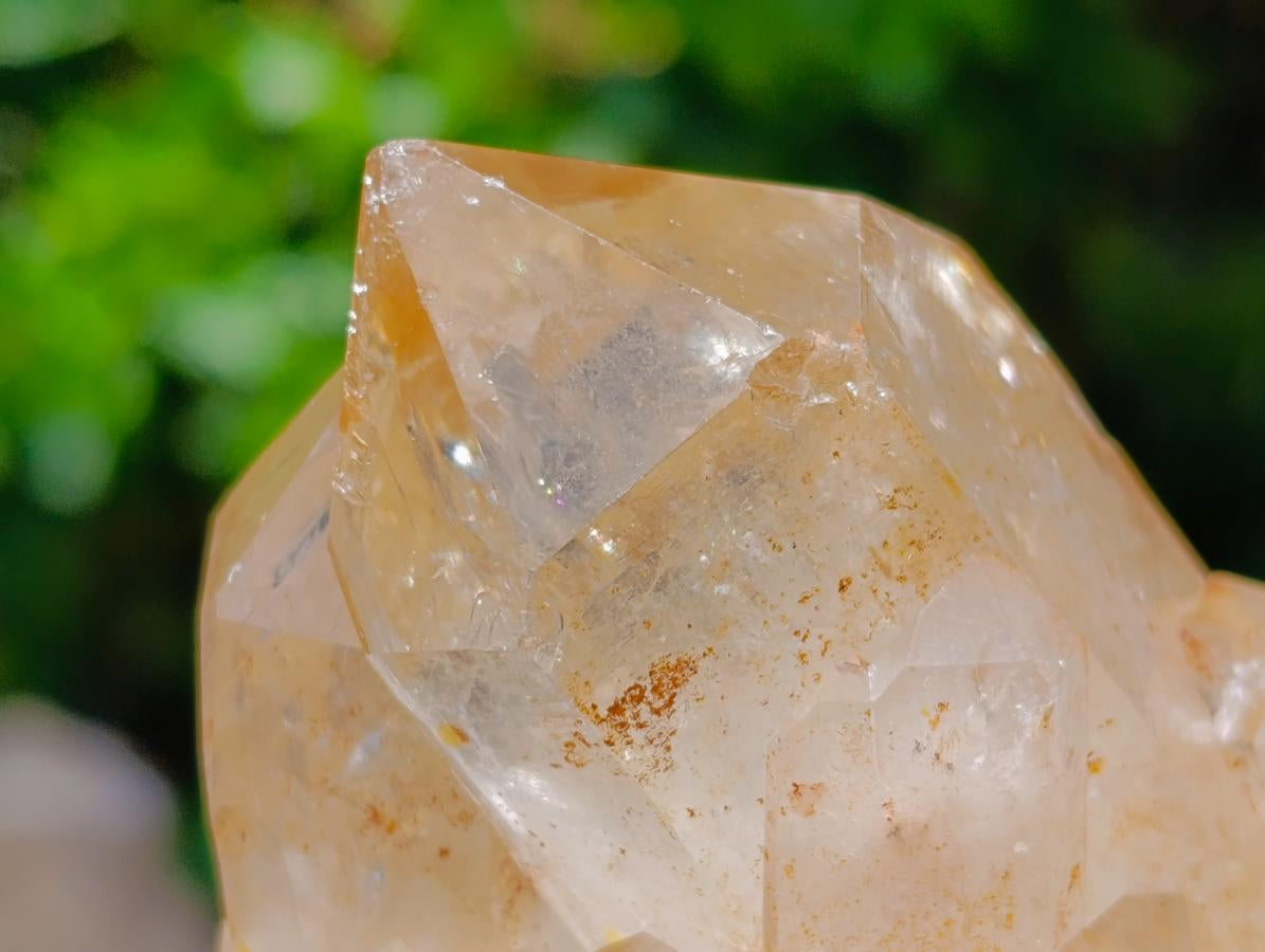 Natural Clear Champagne Citrine Quartz Clusters x 2 From Luena, Congo