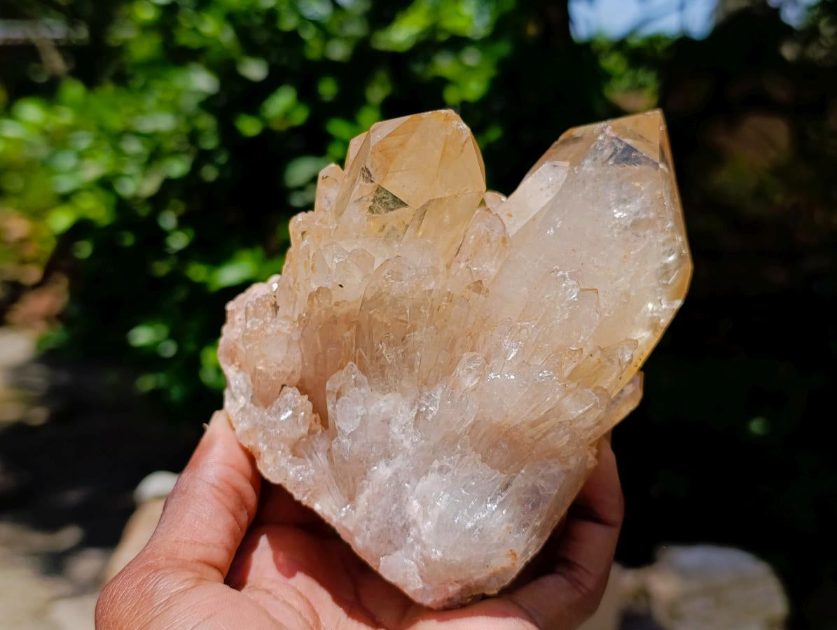 Natural Clear Champagne Citrine Quartz Clusters x 2 From Luena, Congo