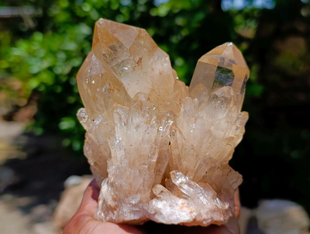 Natural Clear Champagne Citrine Quartz Clusters x 2 From Luena, Congo
