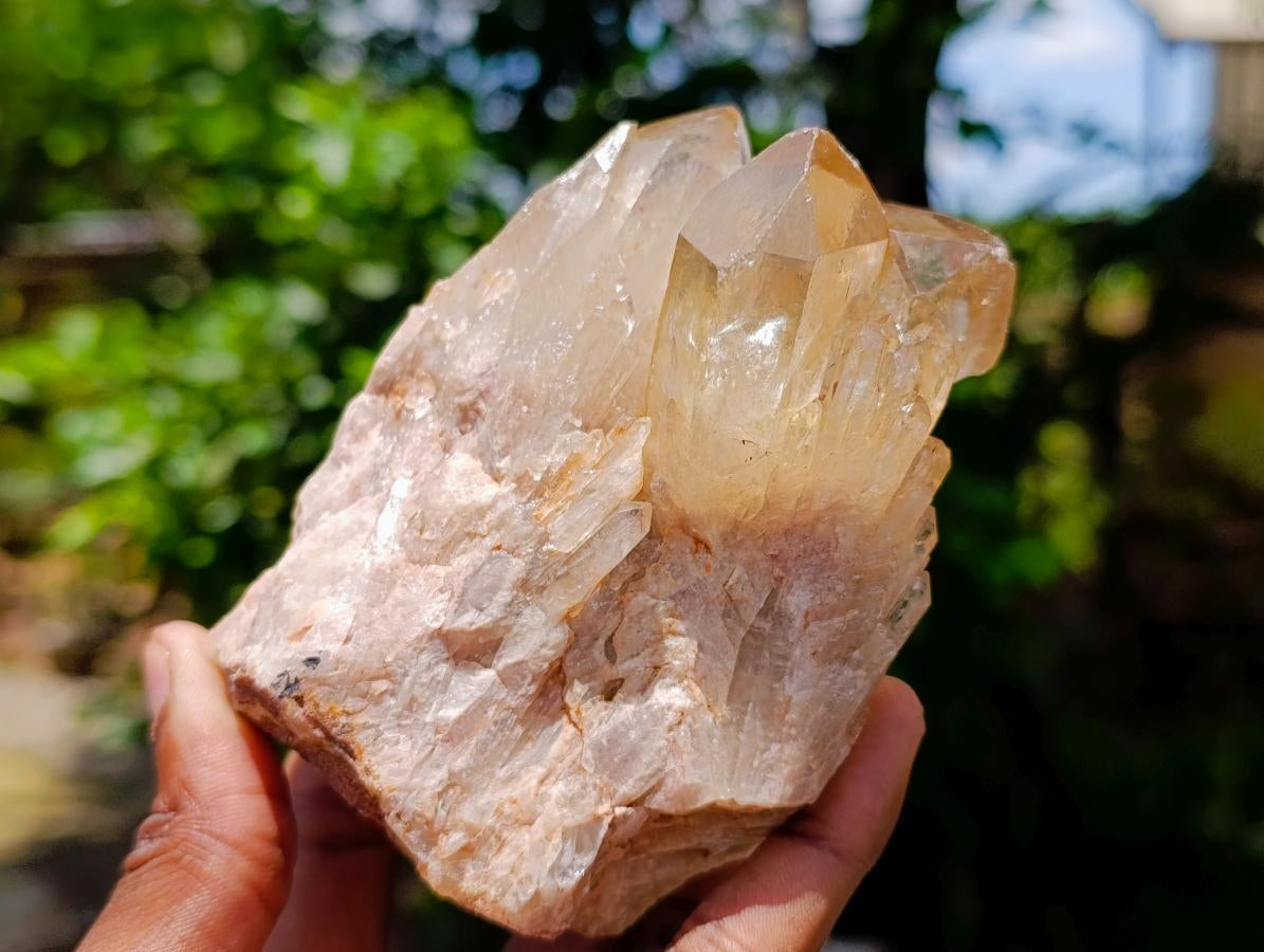 Natural Clear Champagne Citrine Quartz Clusters x 2 From Luena, Congo