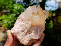 Natural Clear Champagne Citrine Quartz Clusters x 2 From Luena, Congo