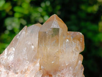 Natural Clear Champagne Citrine Quartz Clusters x 2 From Luena, Congo
