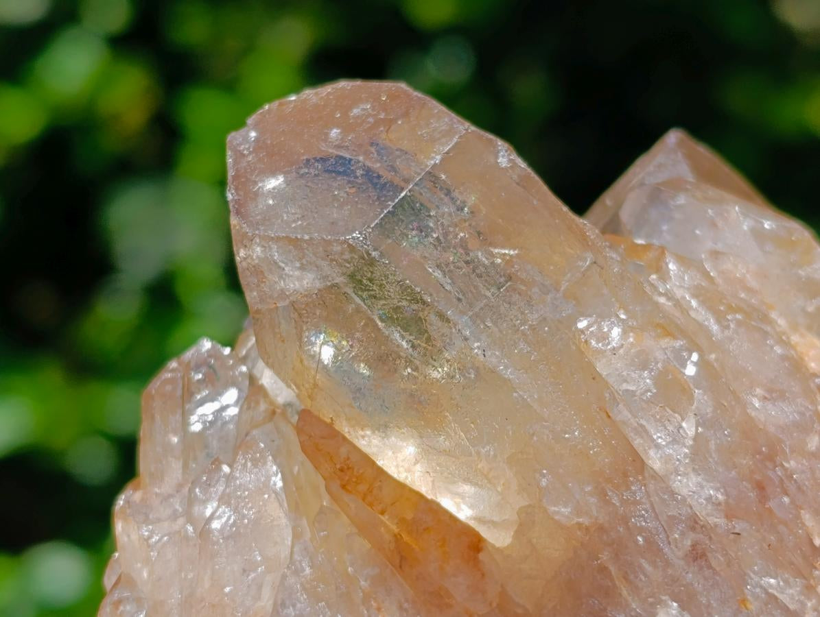 Natural Clear Champagne Citrine Quartz Clusters x 2 From Luena, Congo