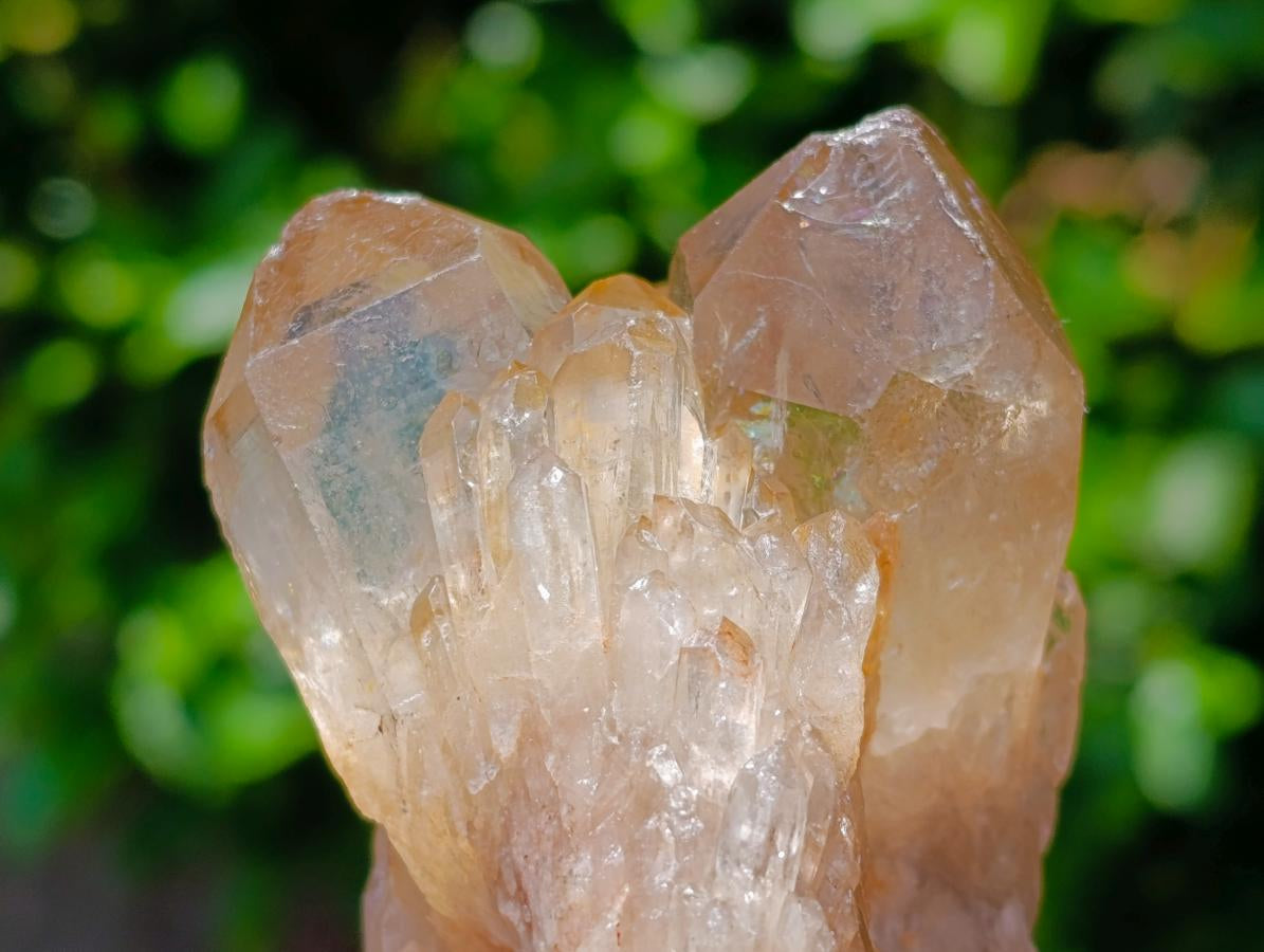 Natural Clear Champagne Citrine Quartz Clusters x 2 From Luena, Congo