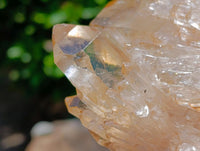 Natural Clear Champagne Citrine Quartz Clusters x 2 From Luena, Congo