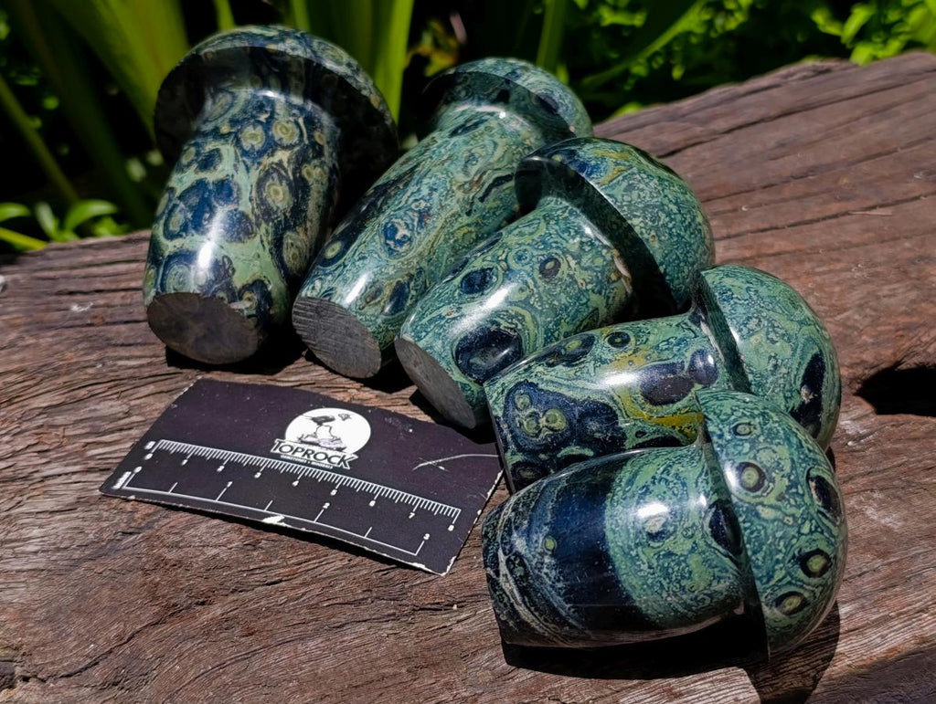 Polished Stromatolite Mushrooms x 5 From Katsepy, Madagascar