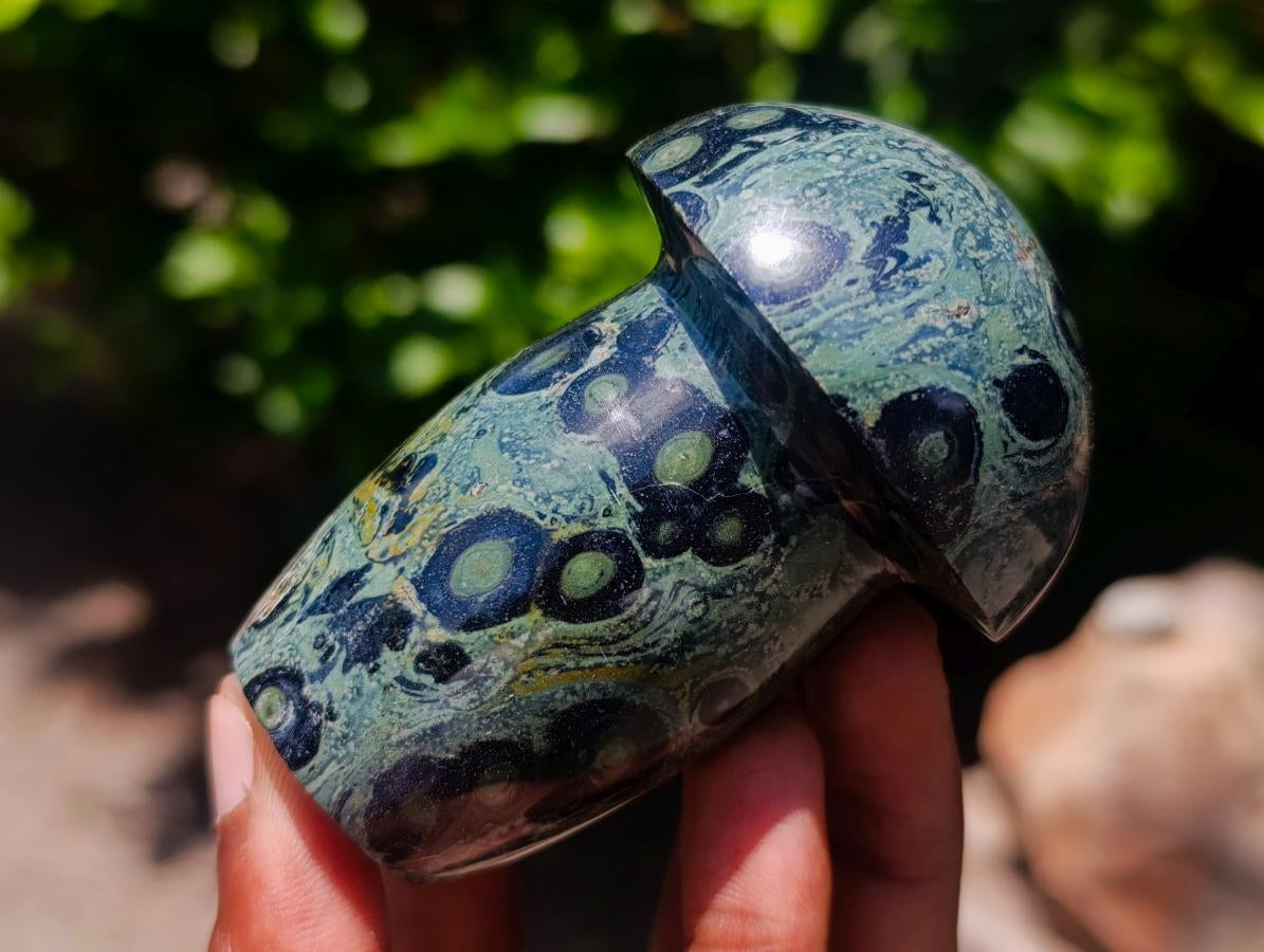 Polished Stromatolite Mushrooms x 5 From Katsepy, Madagascar