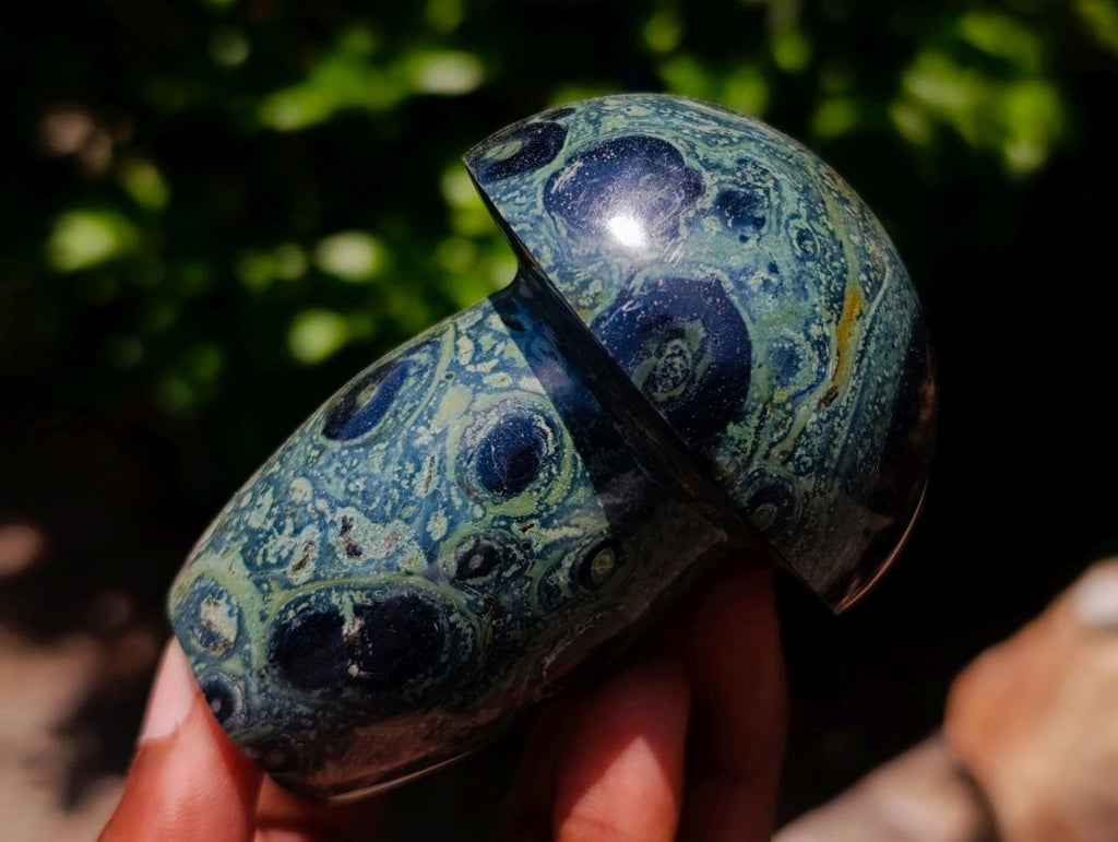 Polished Stromatolite Mushrooms x 5 From Katsepy, Madagascar