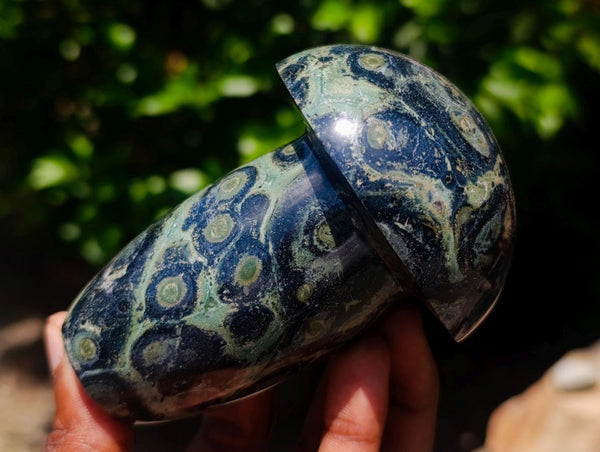 Polished Stromatolite Mushrooms x 5 From Katsepy, Madagascar