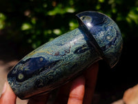 Polished Stromatolite Mushrooms x 5 From Katsepy, Madagascar