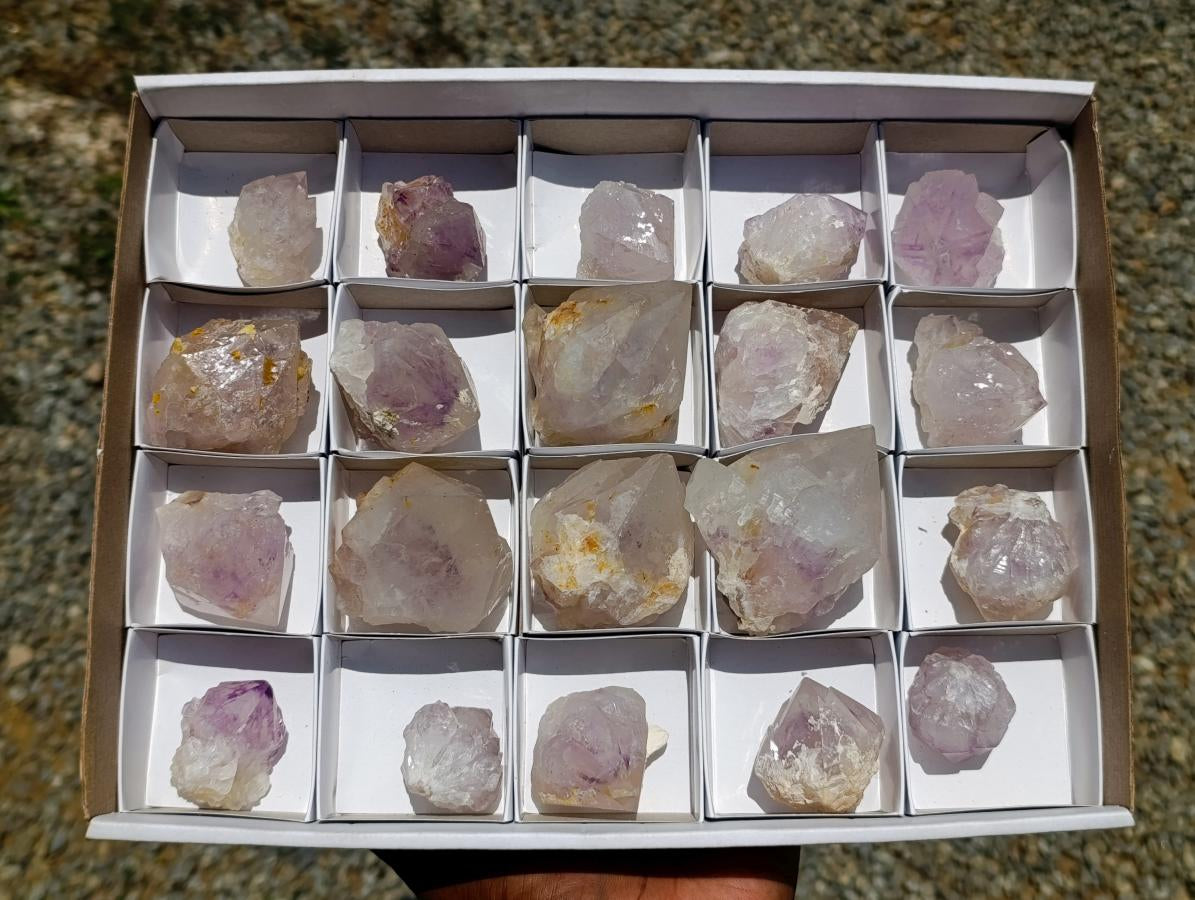 Natural Sunburst Amethyst Spirit Crystals x 20 From Boekenhouthoek, South Africa