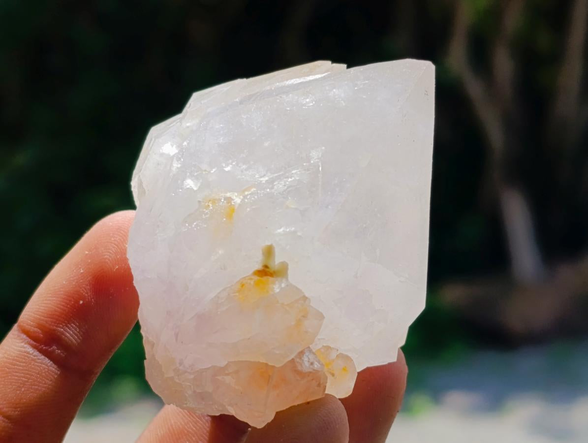 Natural Sunburst Amethyst Spirit Crystals x 20 From Boekenhouthoek, South Africa