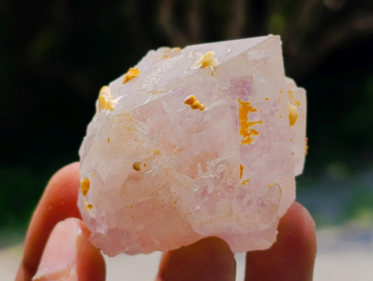 Natural Sunburst Amethyst Spirit Crystals x 20 From Boekenhouthoek, South Africa