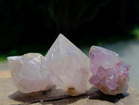 Natural Sunburst Amethyst Spirit Crystals x 20 From Boekenhouthoek, South Africa