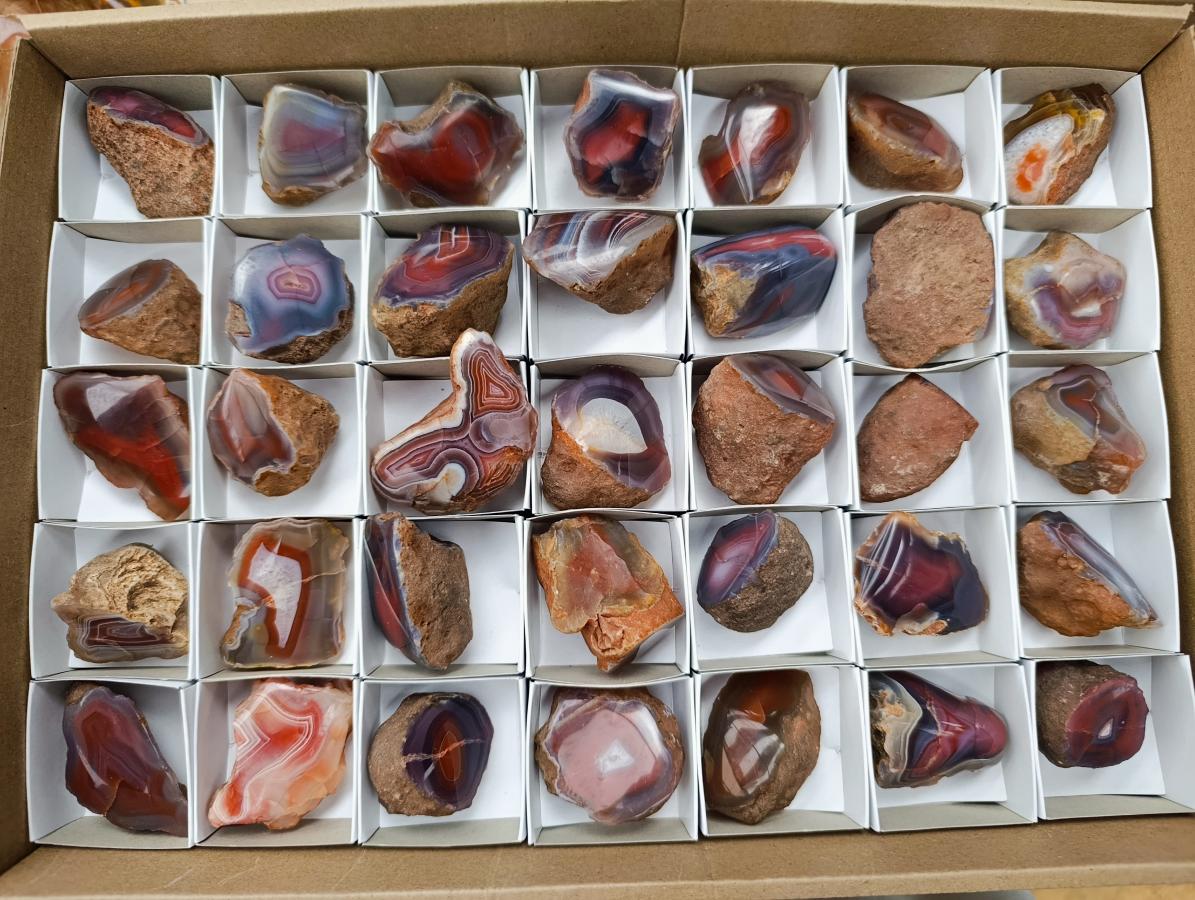 Polished Red Shashe River Agate Nodules x 35 From Shashe River, Zimbabwe