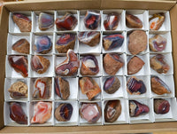 Polished Red Shashe River Agate Nodules x 35 From Shashe River, Zimbabwe