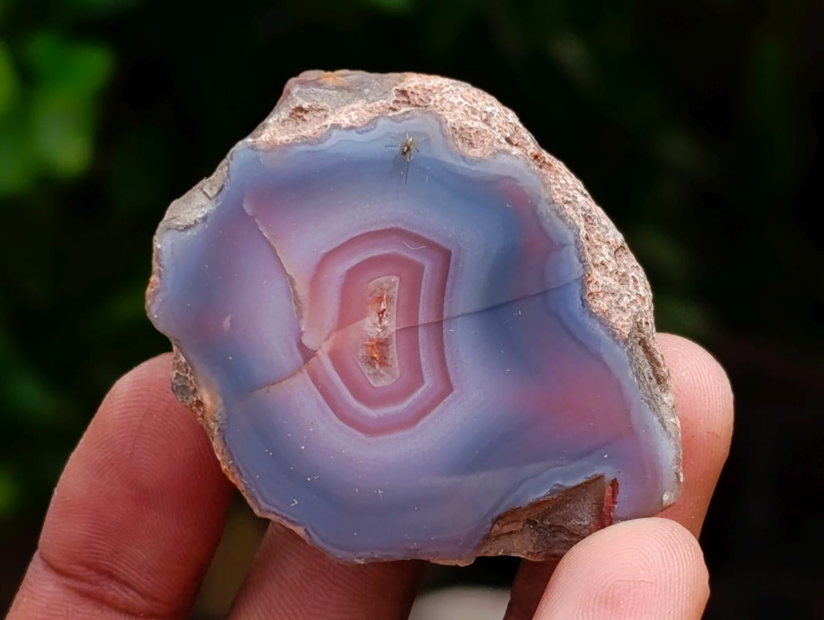 Polished Red Shashe River Agate Nodules x 35 From Shashe River, Zimbabwe
