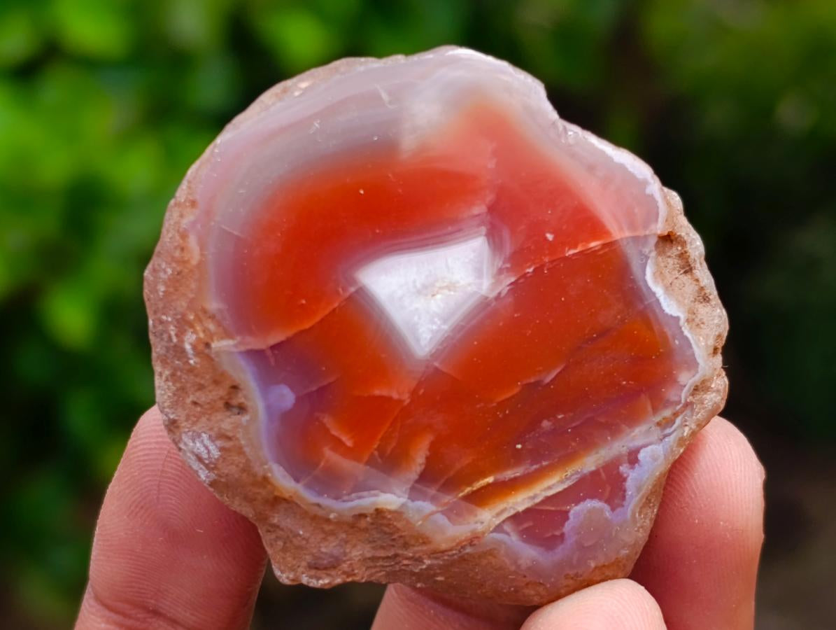 Polished Red Shashe River Agate Nodules x 35 From Shashe River, Zimbabwe