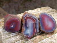 Polished Red Shashe River Agate Nodules x 35 From Shashe River, Zimbabwe