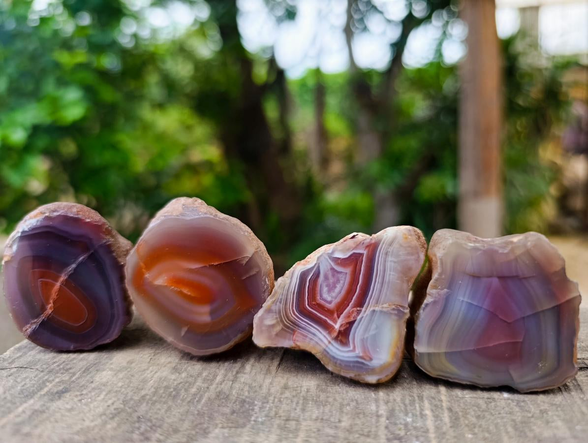 Polished Red Shashe River Agate Nodules x 35 From Shashe River, Zimbabwe