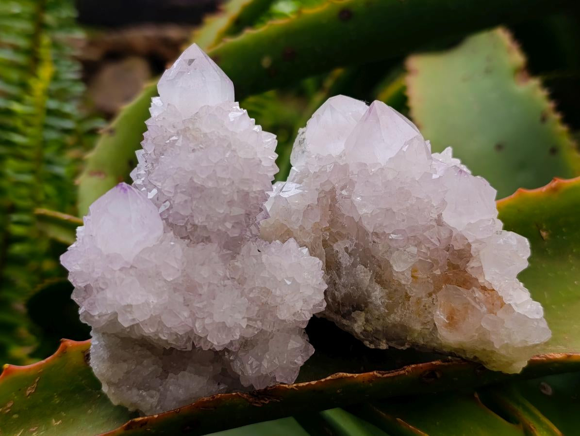 Natural Lilac Amethyst Spirit Quartz Clusters x 6 From Boekenhouthoek, South Africa