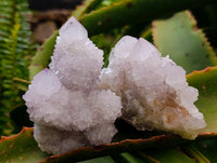 Natural Lilac Amethyst Spirit Quartz Clusters x 6 From Boekenhouthoek, South Africa