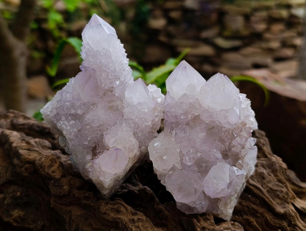 Natural Lilac Amethyst Spirit Quartz Clusters x 6 From Boekenhouthoek, South Africa