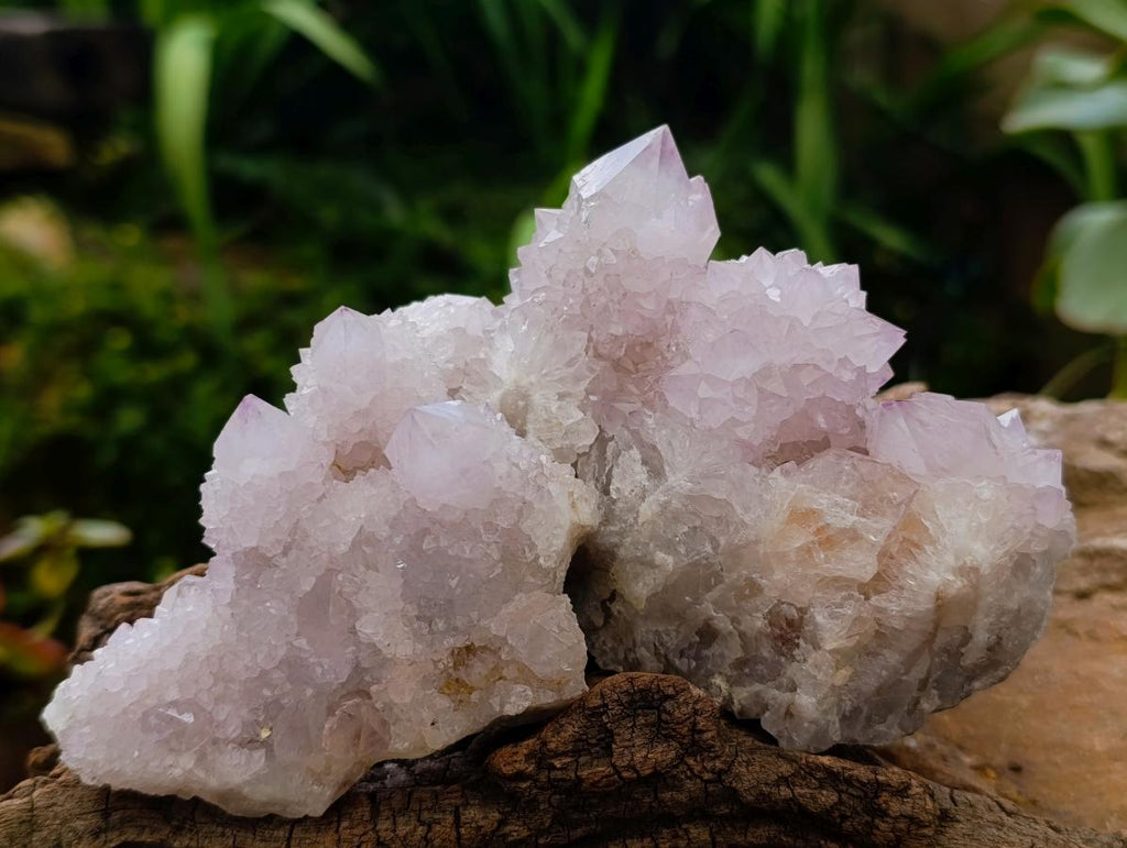 Natural Lilac Amethyst Spirit Quartz Clusters x 6 From Boekenhouthoek, South Africa