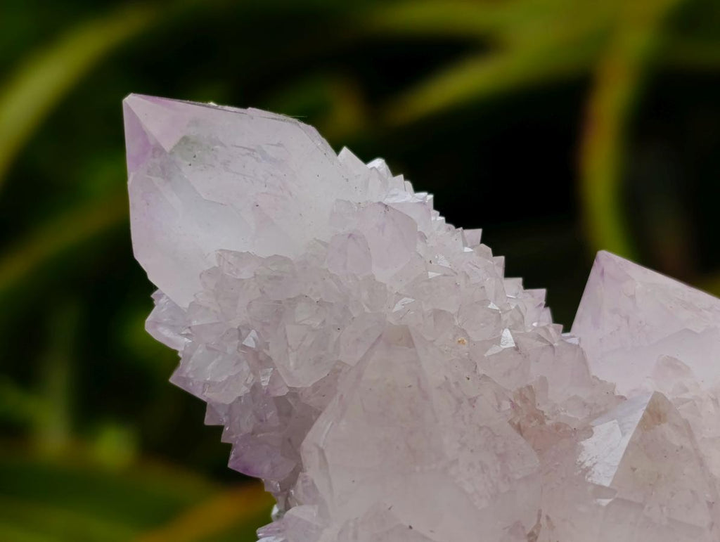 Natural Lilac Amethyst Spirit Quartz Clusters x 6 From Boekenhouthoek, South Africa