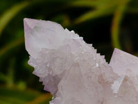 Natural Lilac Amethyst Spirit Quartz Clusters x 6 From Boekenhouthoek, South Africa