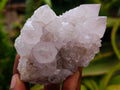 Natural Lilac Amethyst Spirit Quartz Clusters x 6 From Boekenhouthoek, South Africa