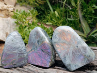 Polished Rare Purple Sunset Flash Labradorite Standing Free Forms x 3 From Madagascar