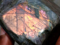 Polished Rare Purple Sunset Flash Labradorite Standing Free Forms x 3 From Madagascar