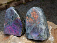 Polished Rare Purple Sunset Flash Labradorite Standing Free Forms x 3 From Madagascar