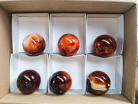 Polished Carnelian Agate Gemstone Spheres x 6 From Madagascar