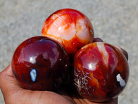 Polished Carnelian Agate Gemstone Spheres x 6 From Madagascar