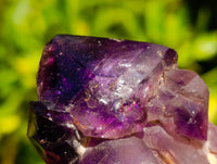 Polished Window Amethyst Crystals x 6 From Akansobe, Madagascar