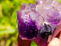 Polished Window Amethyst Crystals x 6 From Akansobe, Madagascar