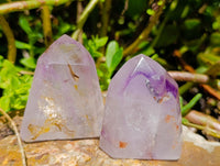 Polished Window Amethyst Crystals x 6 From Akansobe, Madagascar