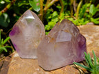 Polished Window Amethyst Crystals x 6 From Akansobe, Madagascar